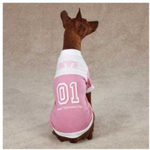 Casual Canine MVP Pet Tee Shirt - Pink XL